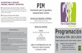 Programación Formativa PIM 2013-2014 (Olivares)