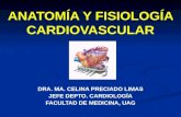 1 anatomía y fisiología cardiovascular 08