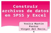 Seminario 4. Construir archivos de datos en SPSS y Excel