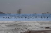 Daños de Odile en Baja California Sur