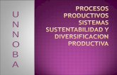 Procesos, sistemas productivos ,  sustentabilidad y diversificacion  2015