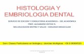 Histologia y embriologia del desarrollo de los dientes