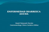 Diarrea Aguda - Dr. Daniel Valenzuela Narváez - Gastroenterólogo