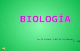 Biologia, la célula