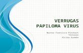 Papilomavirus (VPH)