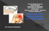 Hipertension intracraneana y meningitis seminario