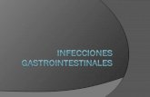 12. infecciones  gastrointestinales