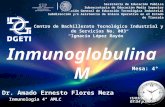 Inmunoglobulina M