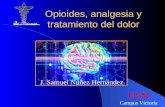 Opioides, analgesia y tratamiento del dolor