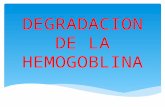 Degradacion de la hemogoblina