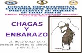 Enfermedad de Chagas en la mujer embarazada en Bolivia