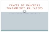 Cancer de pancreas tratamiento paliativo