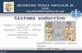 Histologia teorica-sistema-endocrino