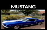Mustang FRACES