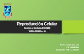 La Reproducción Celular