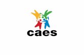Presentacion del Proyecto CAES