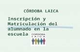 Opciones religión junio 2010. Matriculación en centros educativos de Andalucía