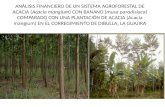 Presentacion economia de bosques