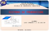 Sistema de produccion LuisCanduri