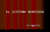 El sistema nervioso m. carmen
