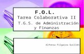 Filgaira guillen alfonsa_adfi_fol_colaborativa_2
