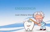 endodoncia - tema libre