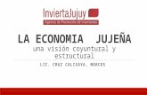 La economia jujeña | INVIERTAJUJUY