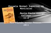 Maria Paula. Diapositivas