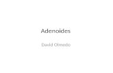 Adenoides Por David Olmedo
