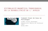 Estimulació Magnètica Transcranial en la Rehabilitació de l'Afàsia