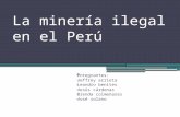 La minería ilegal en el perú