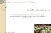 Beneficios de la herbologia