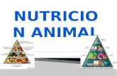 Nutrición Animal