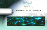 Doctrina neuronal