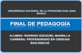 Historia de Educación Argentina - Final de Pedagogía