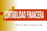 Analisis financ.2010