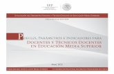Perfiles, parámetros e indicadores para el desempeño en Educación Media Superior.