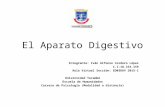 El aparato digestivo (tema 8)