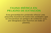 Fauna Ibérica