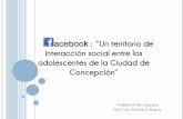 Facebook: Un territorio de interacción social entre adolescentes de la ciudad de Concepción