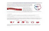 Conceptos básicos del sistema circulatorio
