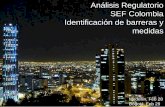 Análisis regulatorio sef colombia identificación de barreras y medidas 20120503 103008