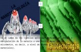 La nanotecnología Leidy avendaño
