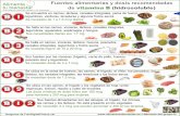 Infografía La vitamina B