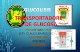 Gluclolisis trasporte RAMOS MICHUE JEAN CLAUDE