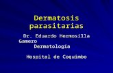 Dermatosis parasitarias
