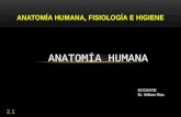 Anatomía humana fisiología e higiene clase 2