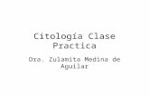 Histología: Citología