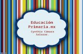 Educación primaria.mx