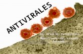 Anti virales